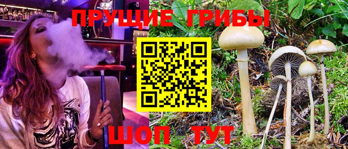 Галлюциногенные грибы мухоморы Избербаш